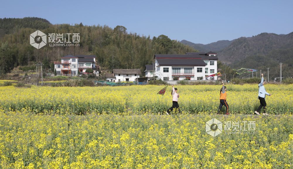 2026年3月14日，游客带小朋友在宜春市明月山温泉风景名胜区洪江镇梅州村油菜花田间游玩。（邹忠 摄）