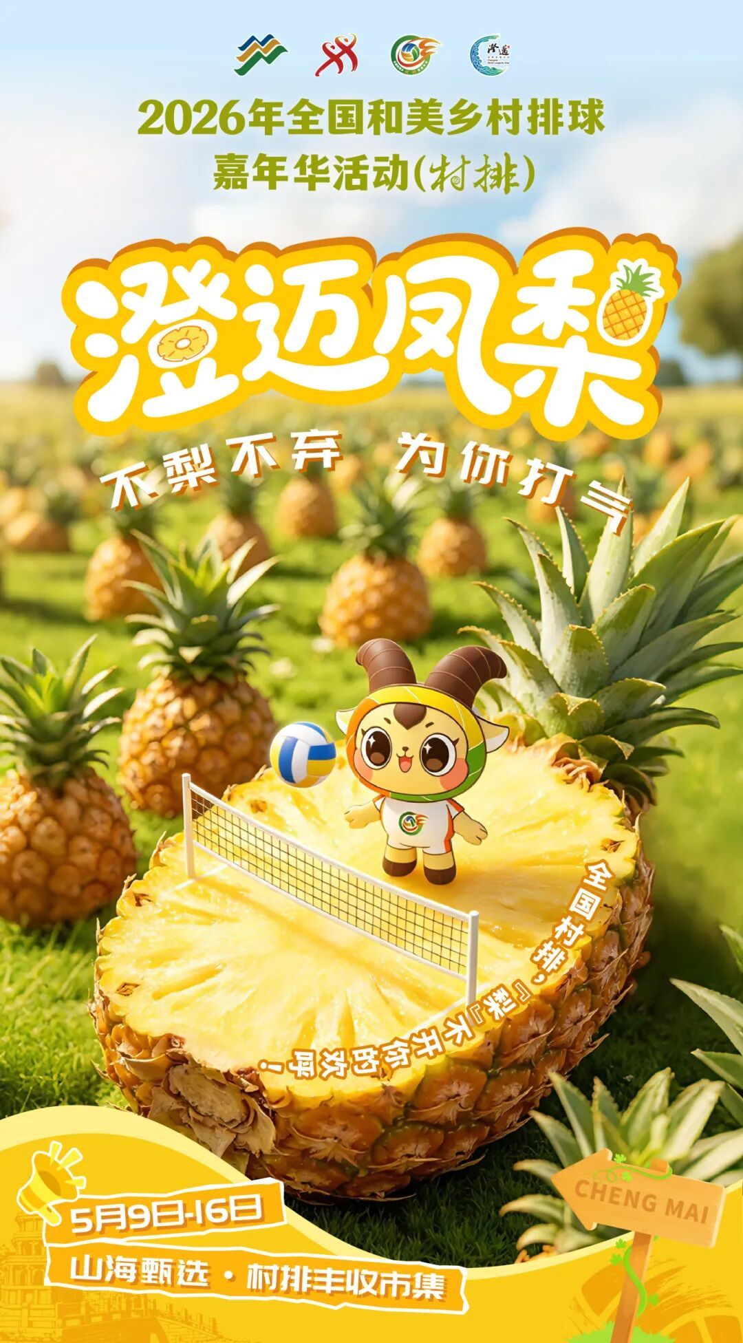 澄迈凤梨.jpg