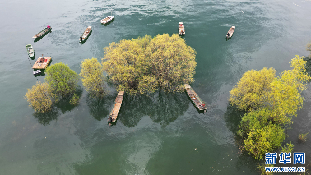 宛若江南的魏家坡　新华网发（史有东　摄）