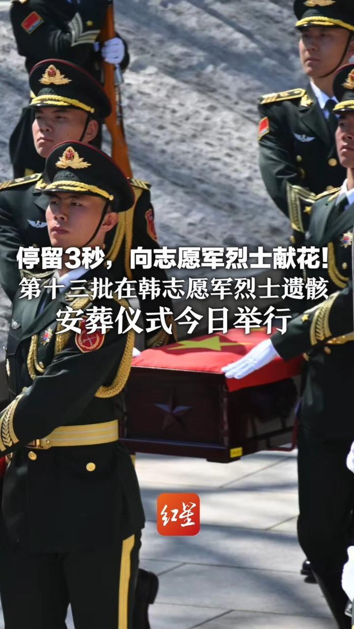 停留3秒，向志愿军烈士献花！第十三批在韩志愿军烈士遗骸安葬仪式今日举行 礼兵鸣枪12响，愿12位英魂安息