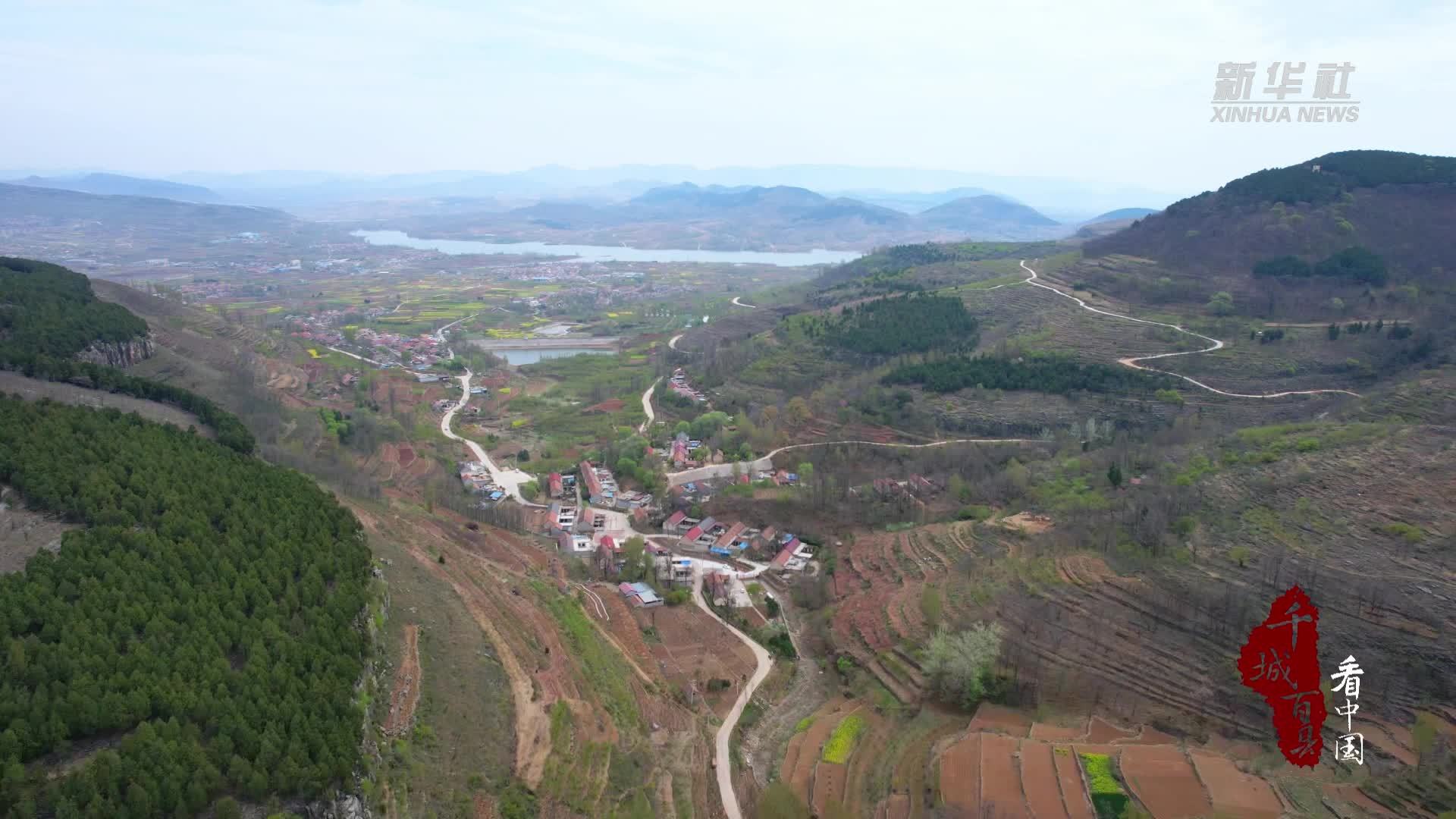 千城百县看中国｜山东沂南：一片香椿的致富密码