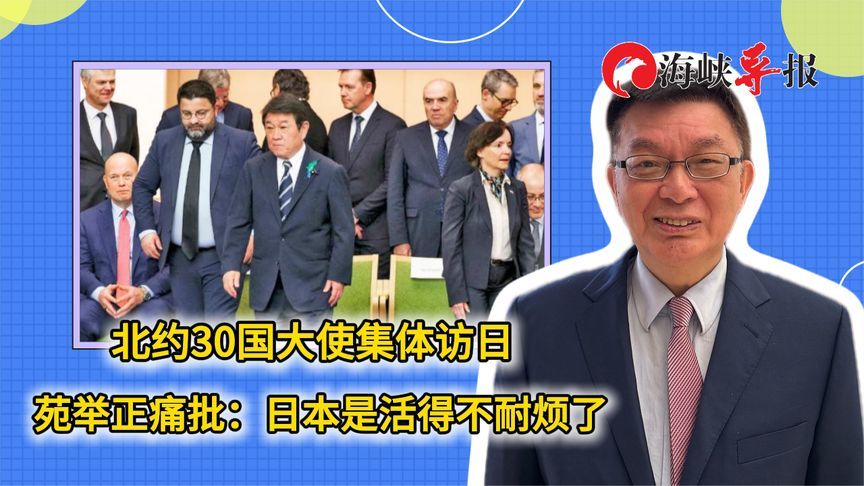 北约30国大使集体访日 苑举正痛批：日本是活得不耐烦了