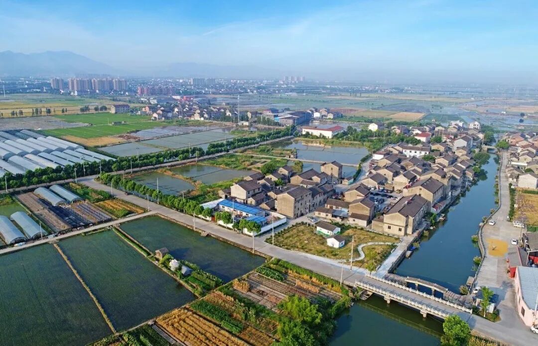 宁波再夺神农鼎！连续四年，乡村振兴交出硬核答卷