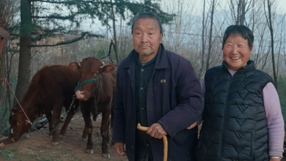 农村养老故事：联合村民给人大代表写信的老人，为提档缴纳养老金激烈争吵的父子