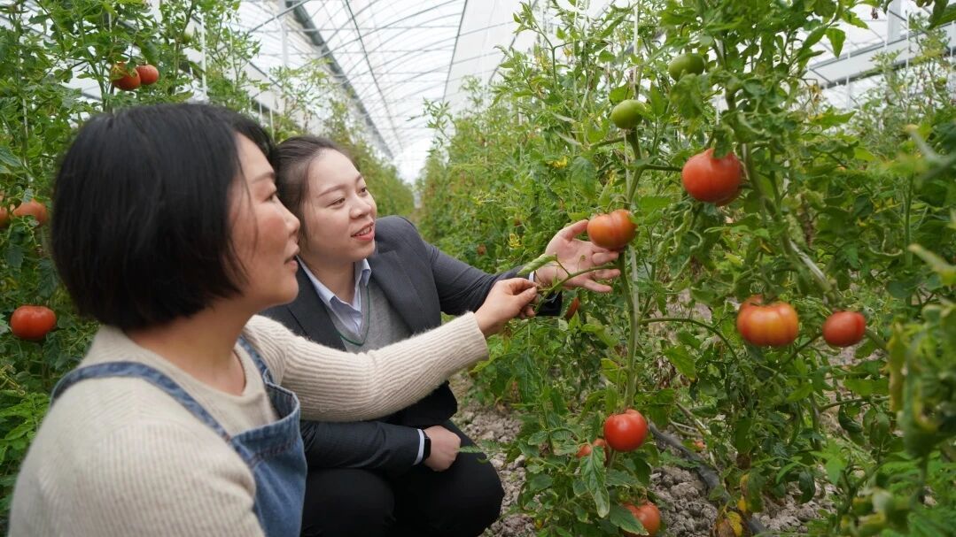 农行宁波市分行：金融“活水”润沃野