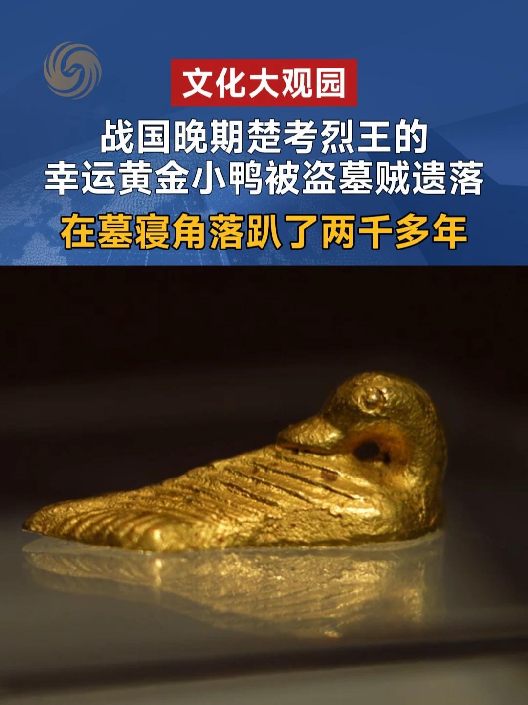战国晚期楚考烈王的幸运黄金小鸭被盗墓贼遗落，安安静静在墓寝角落趴了两千多年#文化大观园
