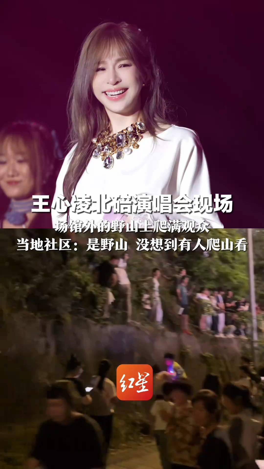 “树上的朋友，你们好吗？”王心凌北碚演唱会现场 场馆外的野山上爬满观众 当地社区：是野山 没想到有人爬山看