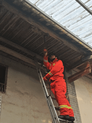 吓人！赣州多地蛇出没 信丰一居民家中惊现3米眼镜王蛇