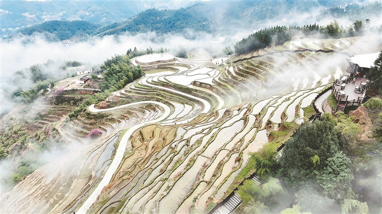 遂川县：春漾梯田（图）