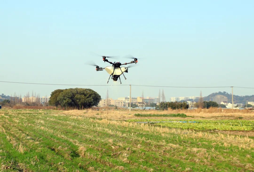 正在田间作业的新型植保无人机。陈章升 胡君央.jpg