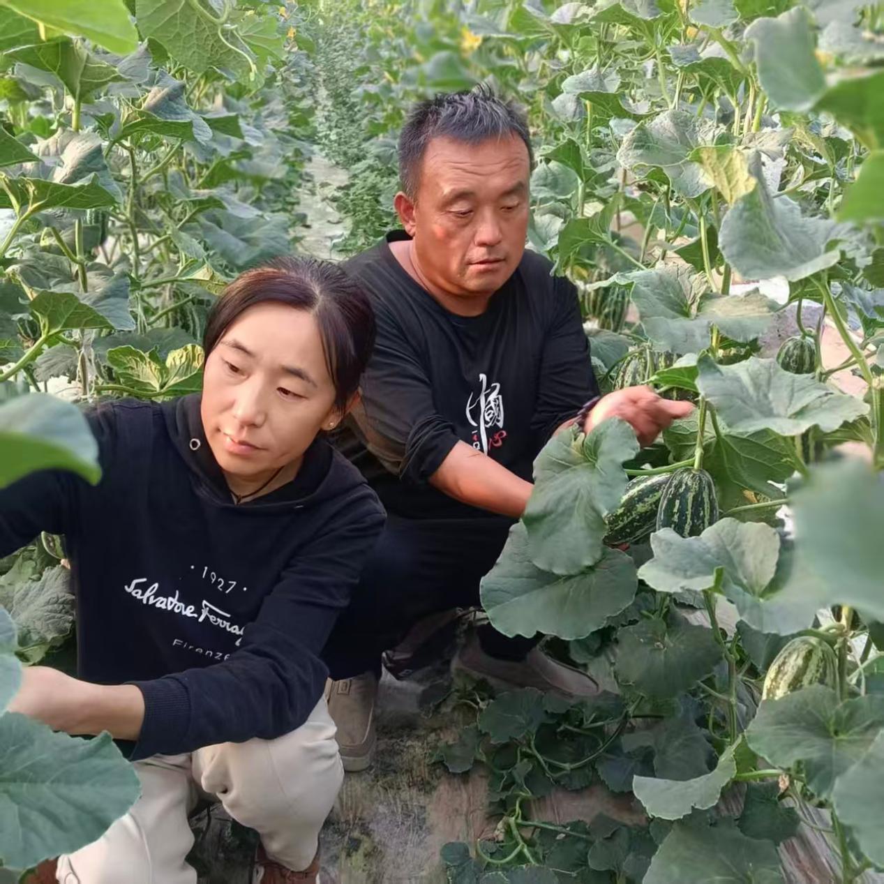 PG电子平台：在路上：泥土地里绽芳华残翼逐梦写担当——80后残疾夫妻深耕乡土的新农人创业路(图2)