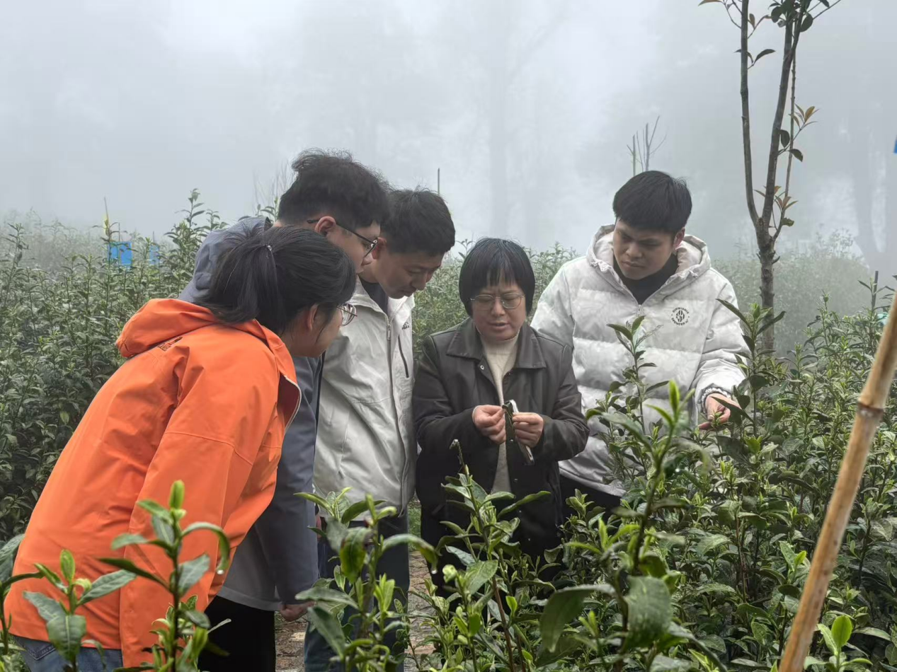 江西省农业气象技术人员查看长势