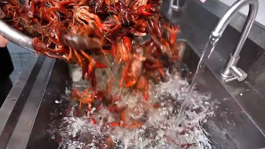 17年专注一只虾，湖北大叔打造潜江小龙虾传奇，日售2000斤