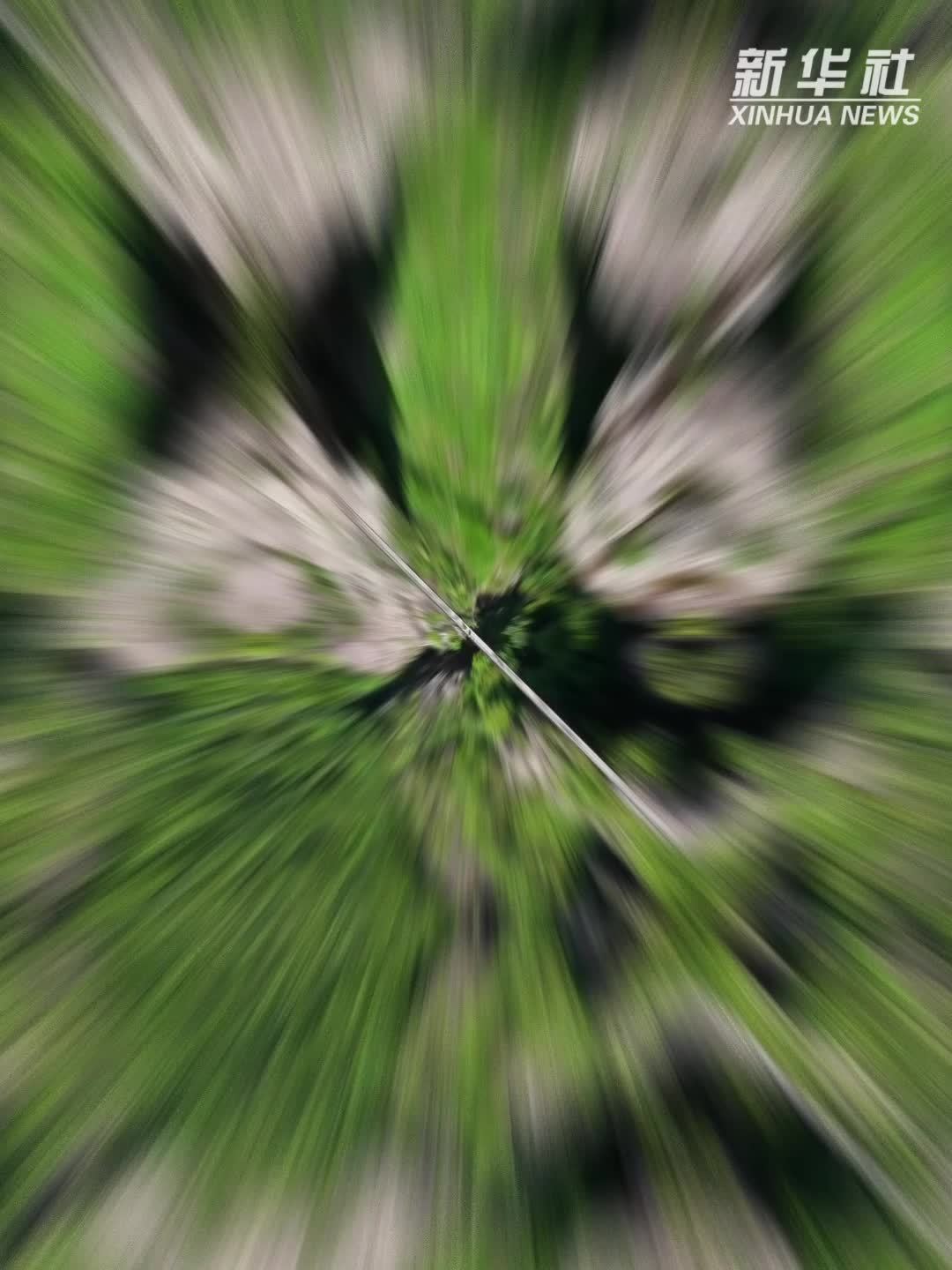 经济大省调研行｜钻进岩洞喝咖啡，品味风景里的待客“新意”