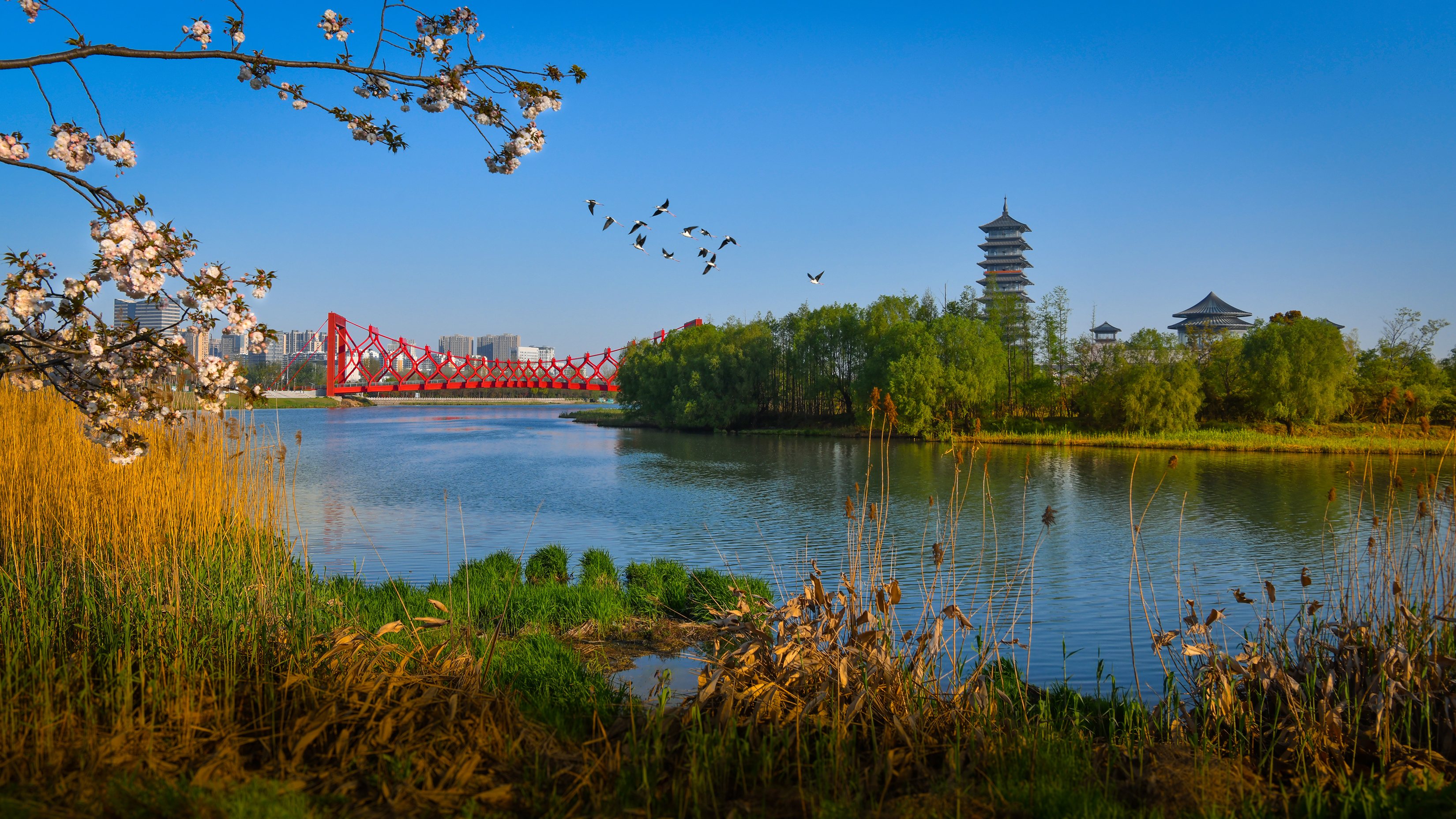 扬州“烟花三月”节，藏着万亿之城的奋进密码