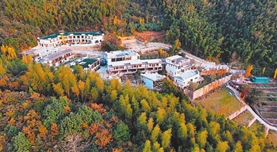 风光旖旎、村容整洁的竹海云境乡宿集群