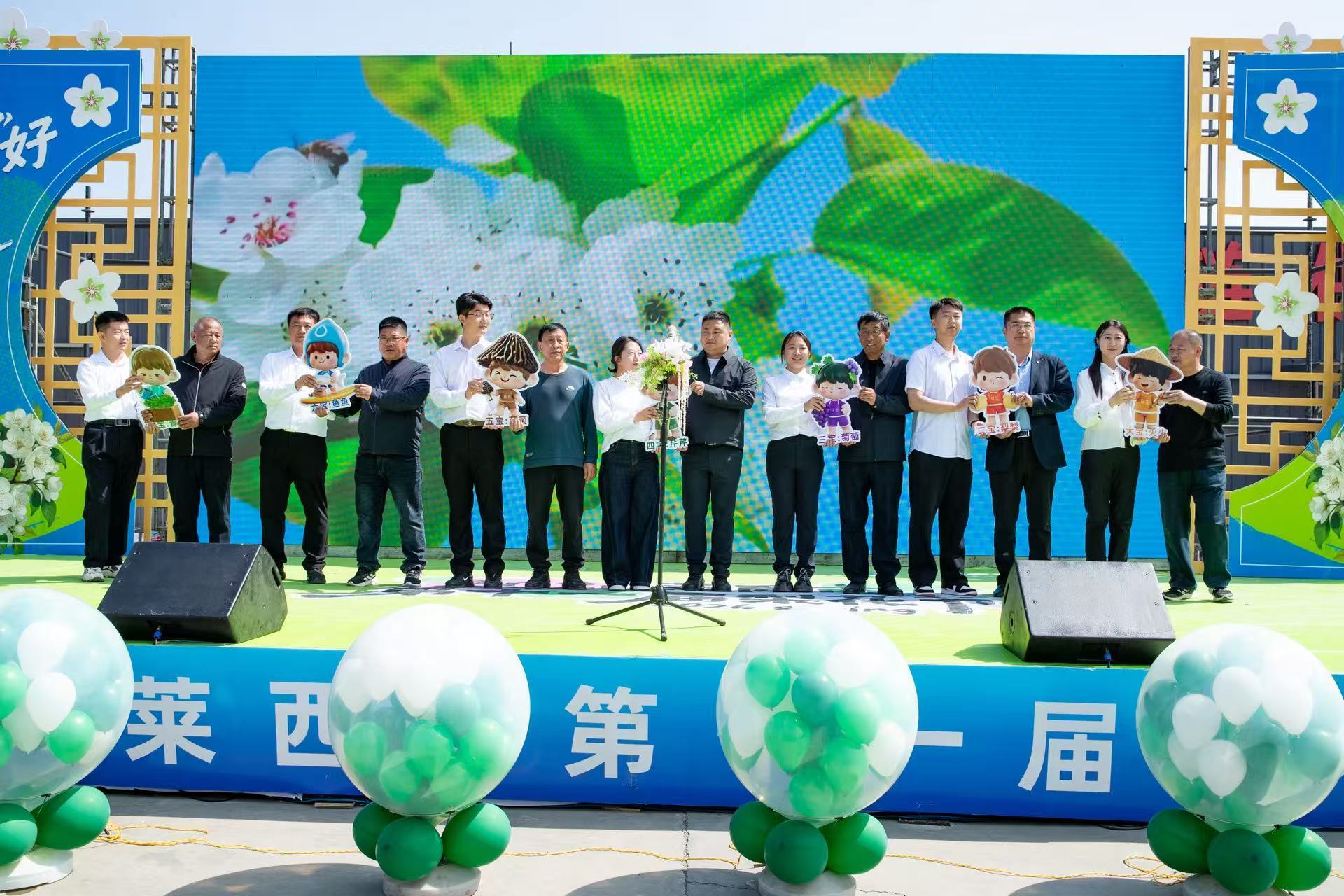 青岛乡里乡亲｜梨园花似雪 “村庆”味正浓——莱西第十一届梨花节侧记