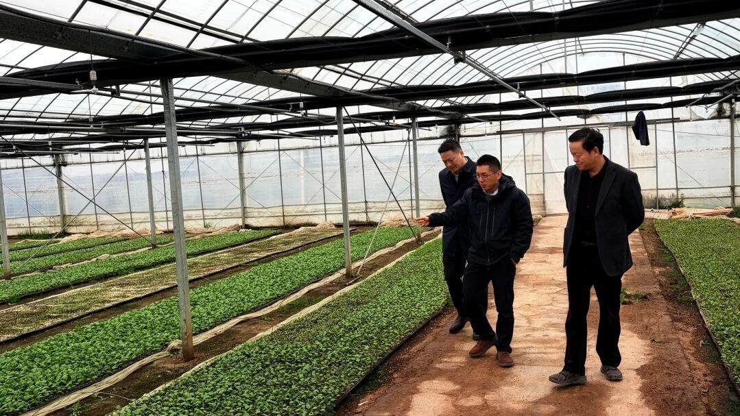 农行宁波市分行：金融“活水”润沃野