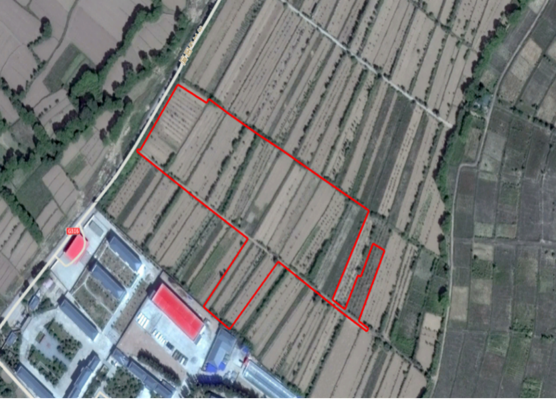 2015年9月卫星影像