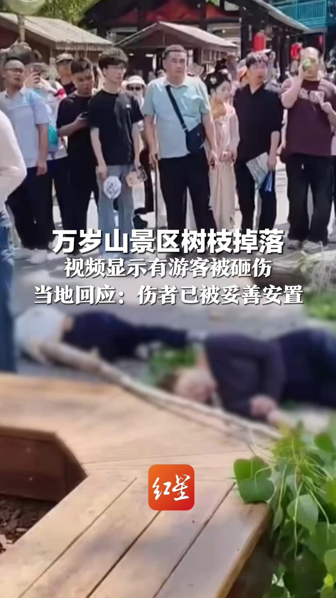 万岁山景区树枝掉落 视频显示有游客被砸伤 当地回应：伤者已被妥善安置