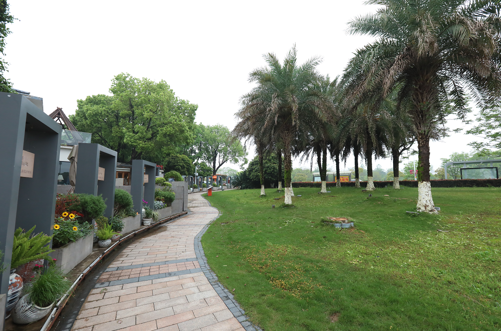 城市为魂、山水入画 九江八里湖新区打造“城市会客厅”文旅新名片