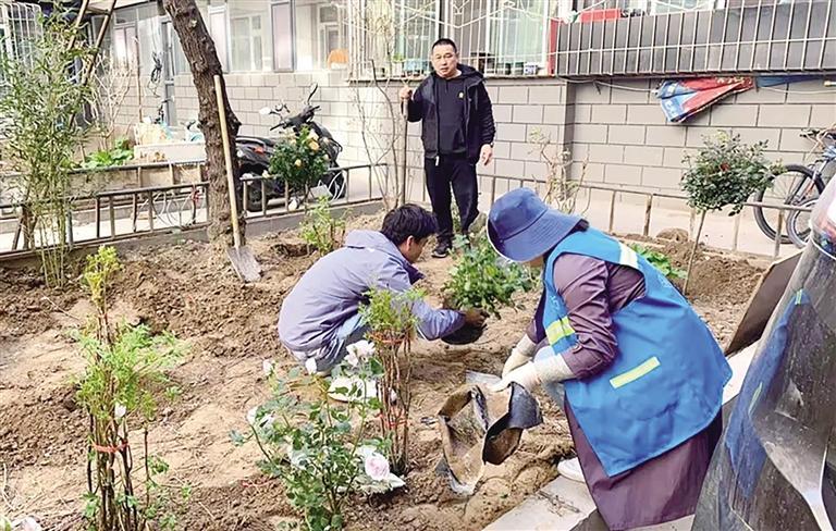 居民自费采购景观花木并栽植
