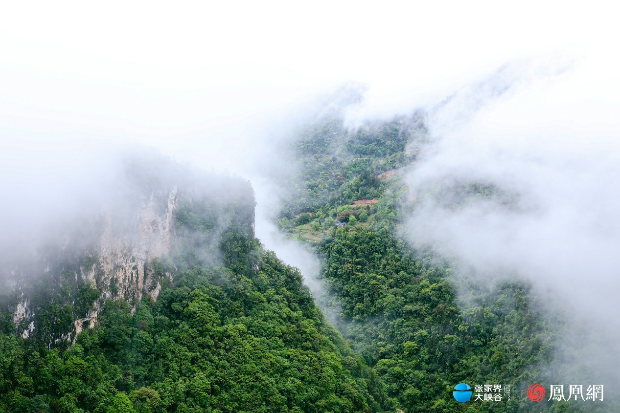 峡谷对话:AI时代,文旅人的悦读与栖居