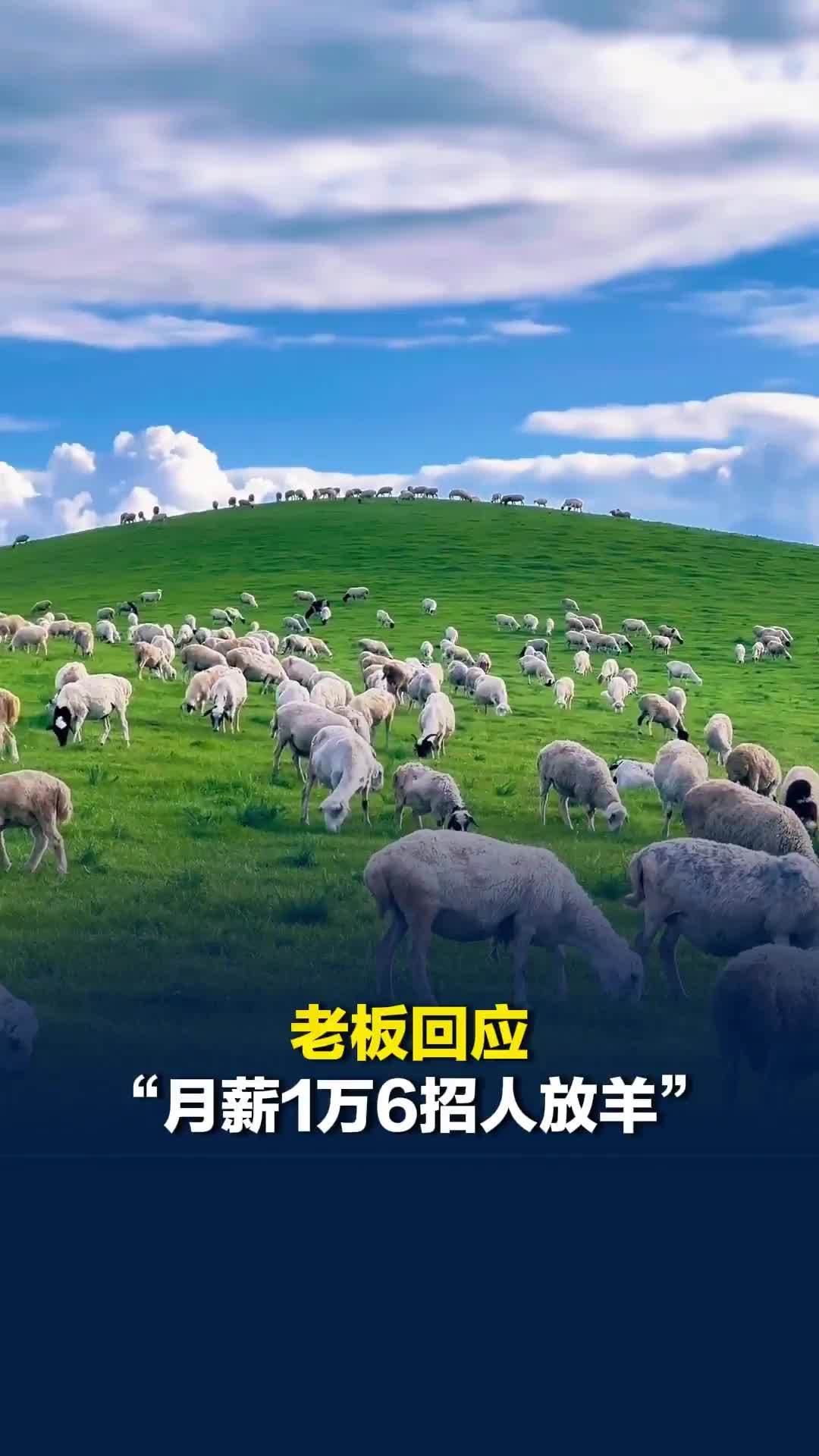 老板回应“月薪1万6招人放羊”：电话快被打爆了，需要夫妻搭档，一个人来的都拒绝了