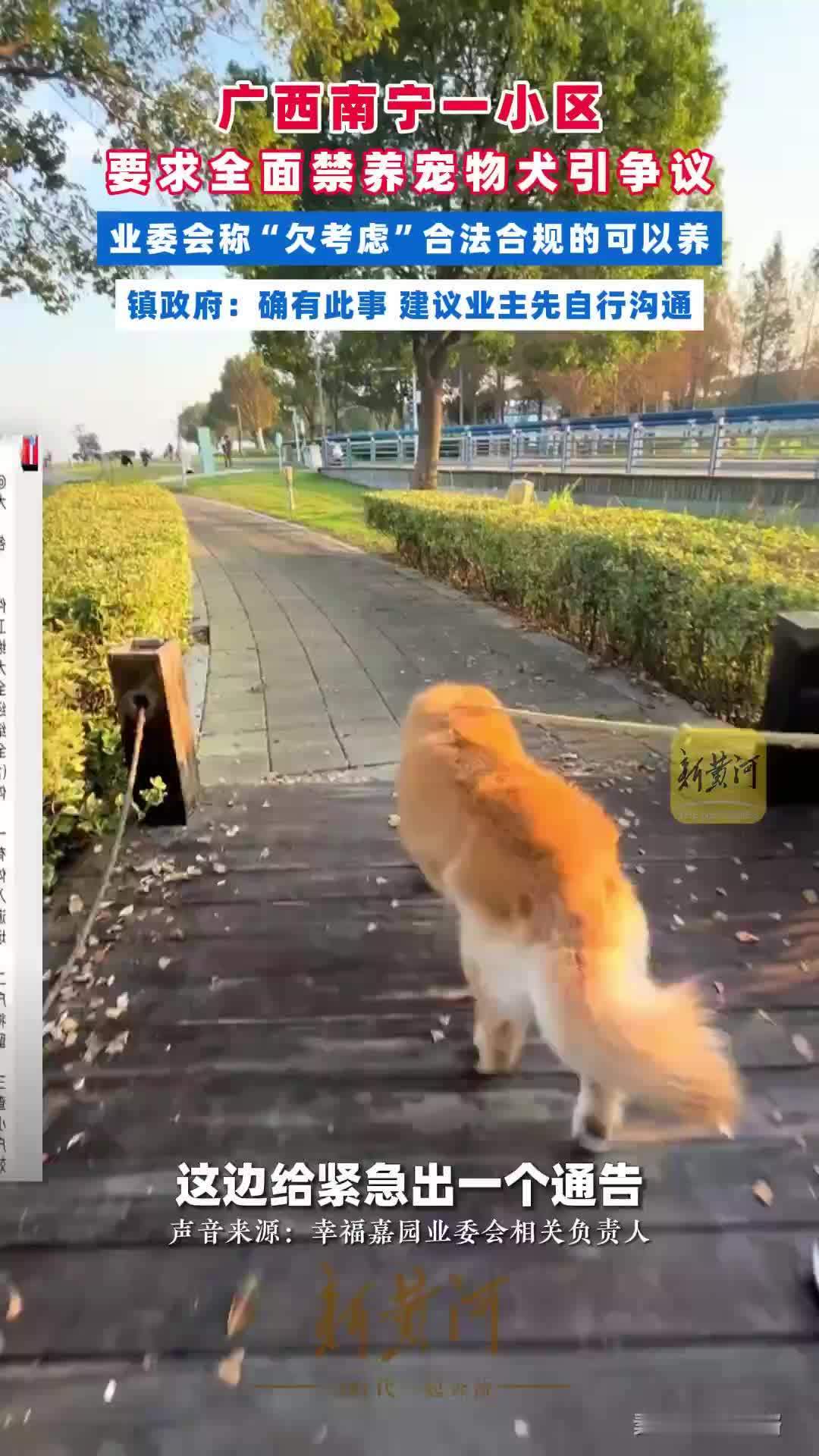 广西南宁一小区要求全面禁养宠物犬引争议，业委会称“欠考虑”，镇政府最新回应