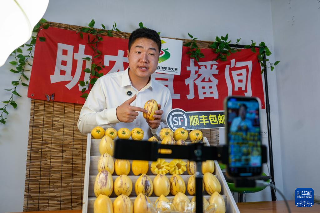 4月23日，在民勤县三雷镇上雷村，一名青年主播直播推介人参果。新华社记者　郎兵兵　摄