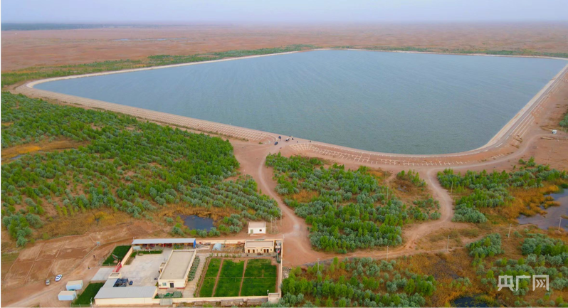 莎车县中水库生态林基地鸟瞰图 （央广网发 王峥 摄）