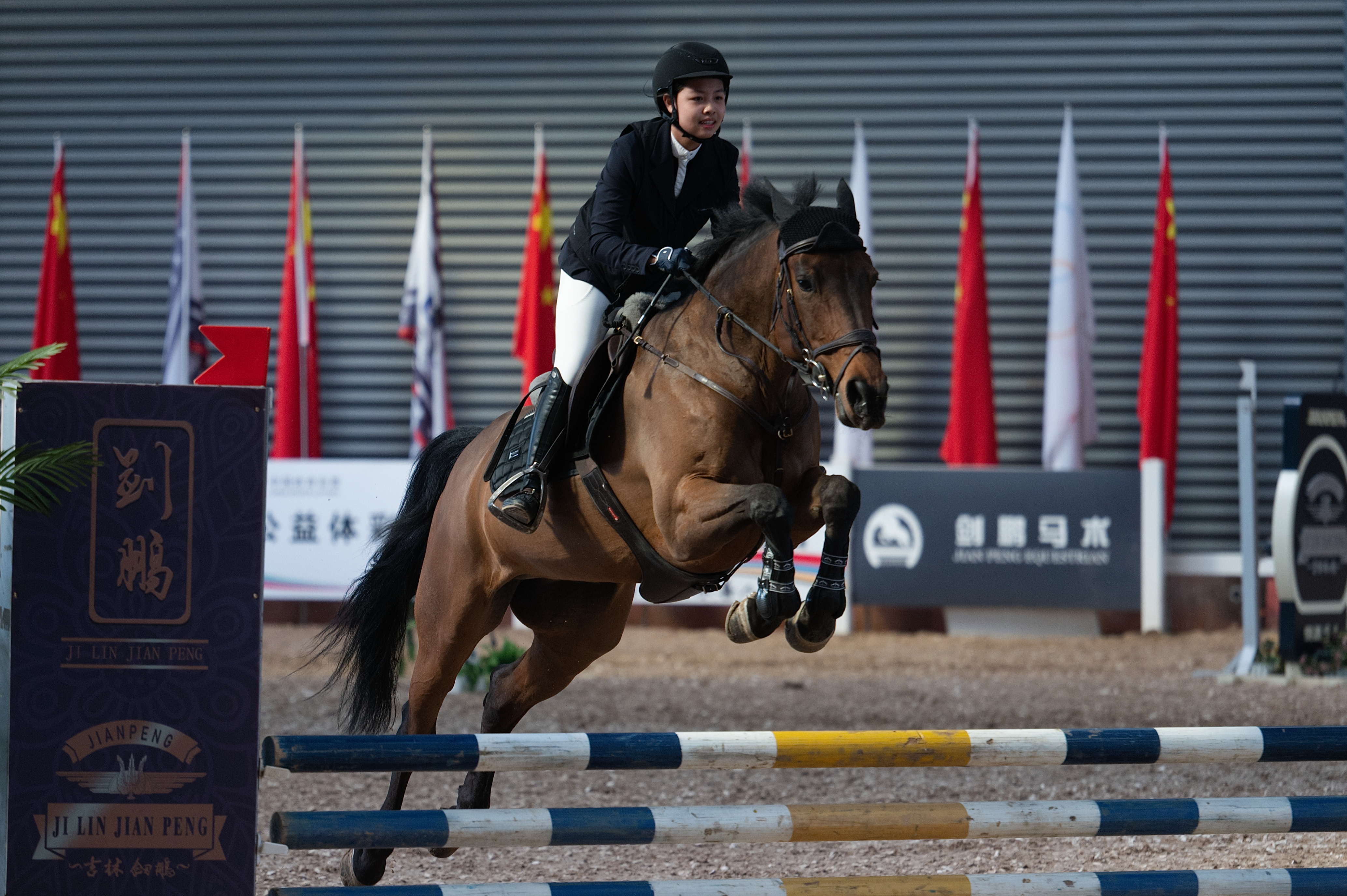 2026年吉林省马术场地障碍公开赛首站 18日在长春净月高新区盛大开幕