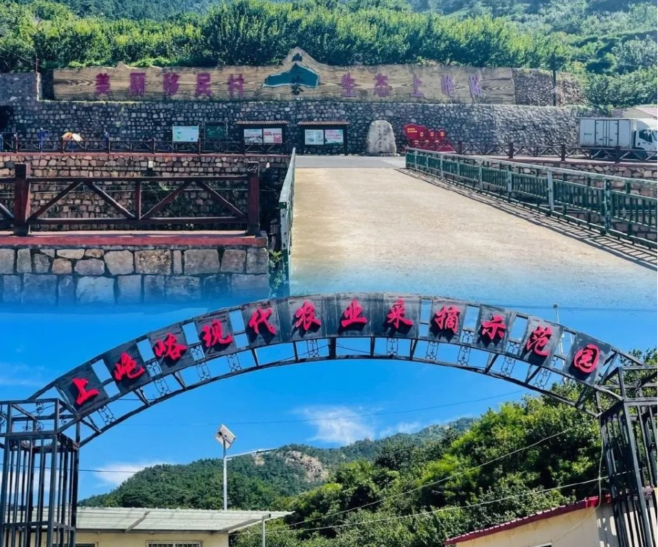 图1：上山色峪现代农业采摘示范园