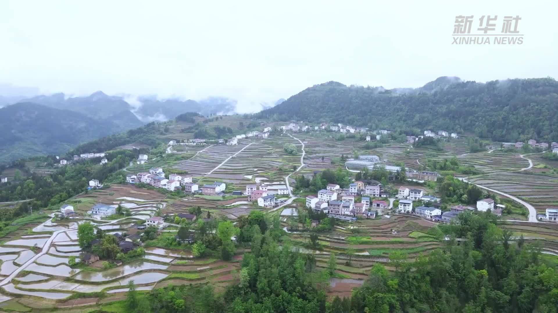 重庆石柱：科技赋能  辣椒苗住上“智慧公寓”