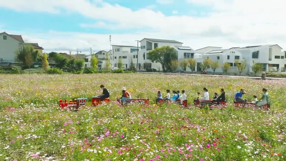 宁波再夺神农鼎！连续四年，乡村振兴交出硬核答卷
