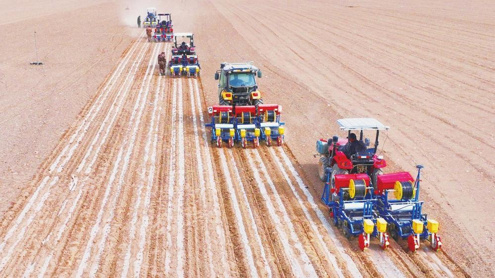 张掖市甘州区沙井镇制种玉米基地正在开展机械化播种作业（甘州区委宣传部供图）