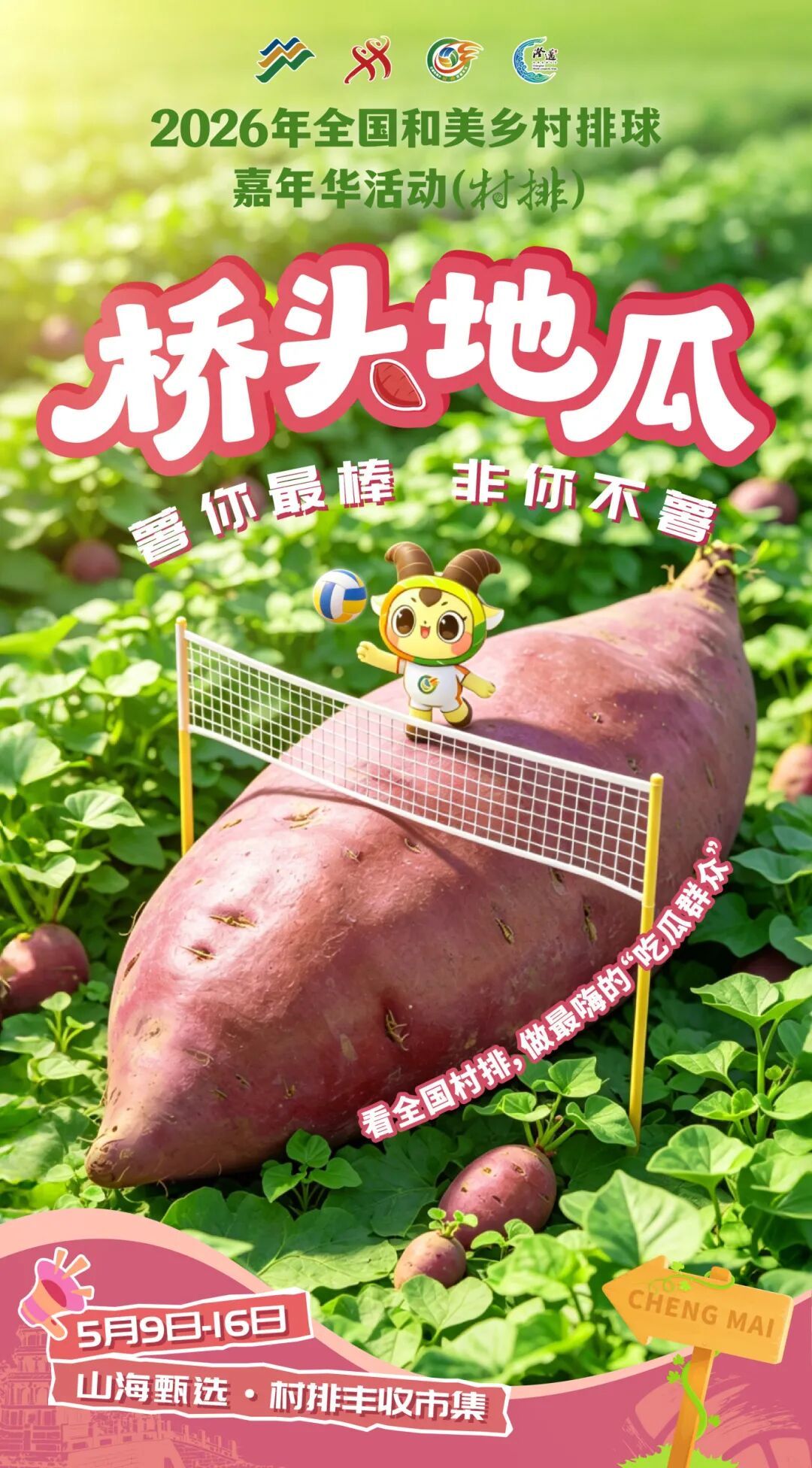 桥头地瓜.jpg
