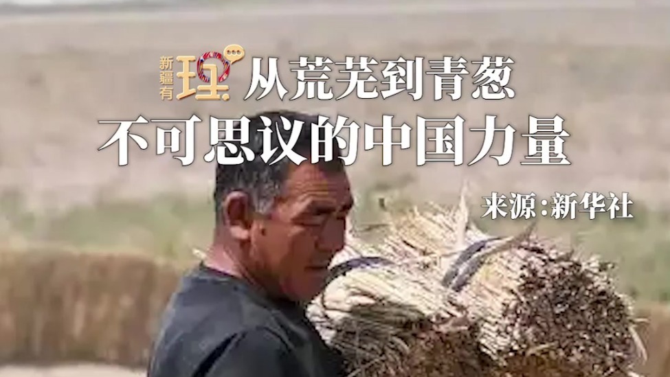 新疆有“理” 第十一期｜从荒芜到青葱：不可思议的中国力量