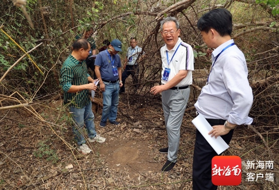 在中和镇接官亭村村民带领下,专家组找到一处隐约露出地面的圆形石墩。通讯员周晓刚供图