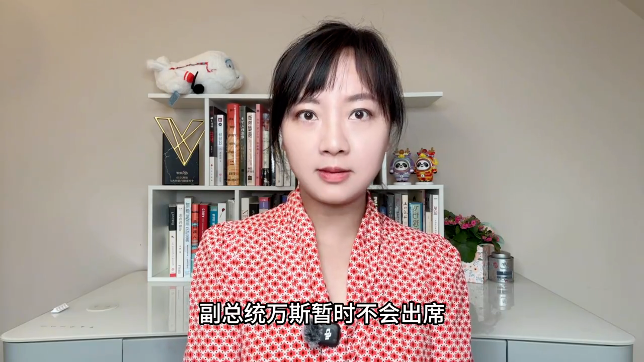 美伊第二轮谈判周末重启，万斯不出席，北约因伊朗闹内讧？