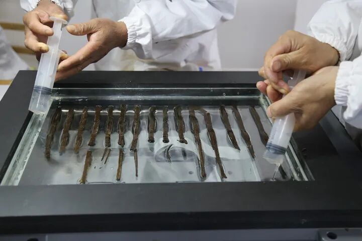 工作人员在对出土简牍进行红外扫描。江西省文物考古研究院供图