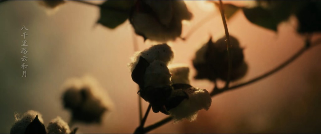 八十七旅白家宅一战，鲜血飞溅在雪白的棉花上。