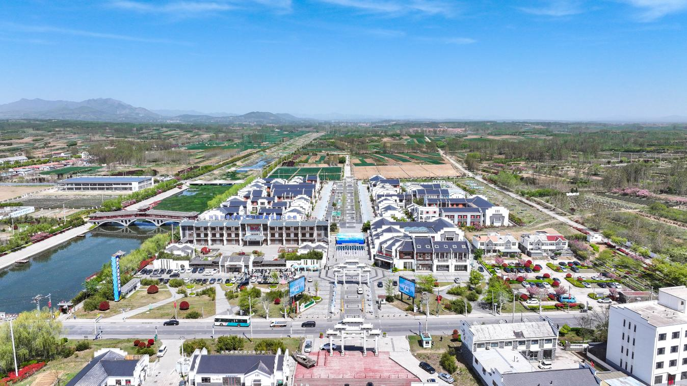 青岛西海岸新区“南茶北引”70年暨海青茶谷雨开采仪式启幕