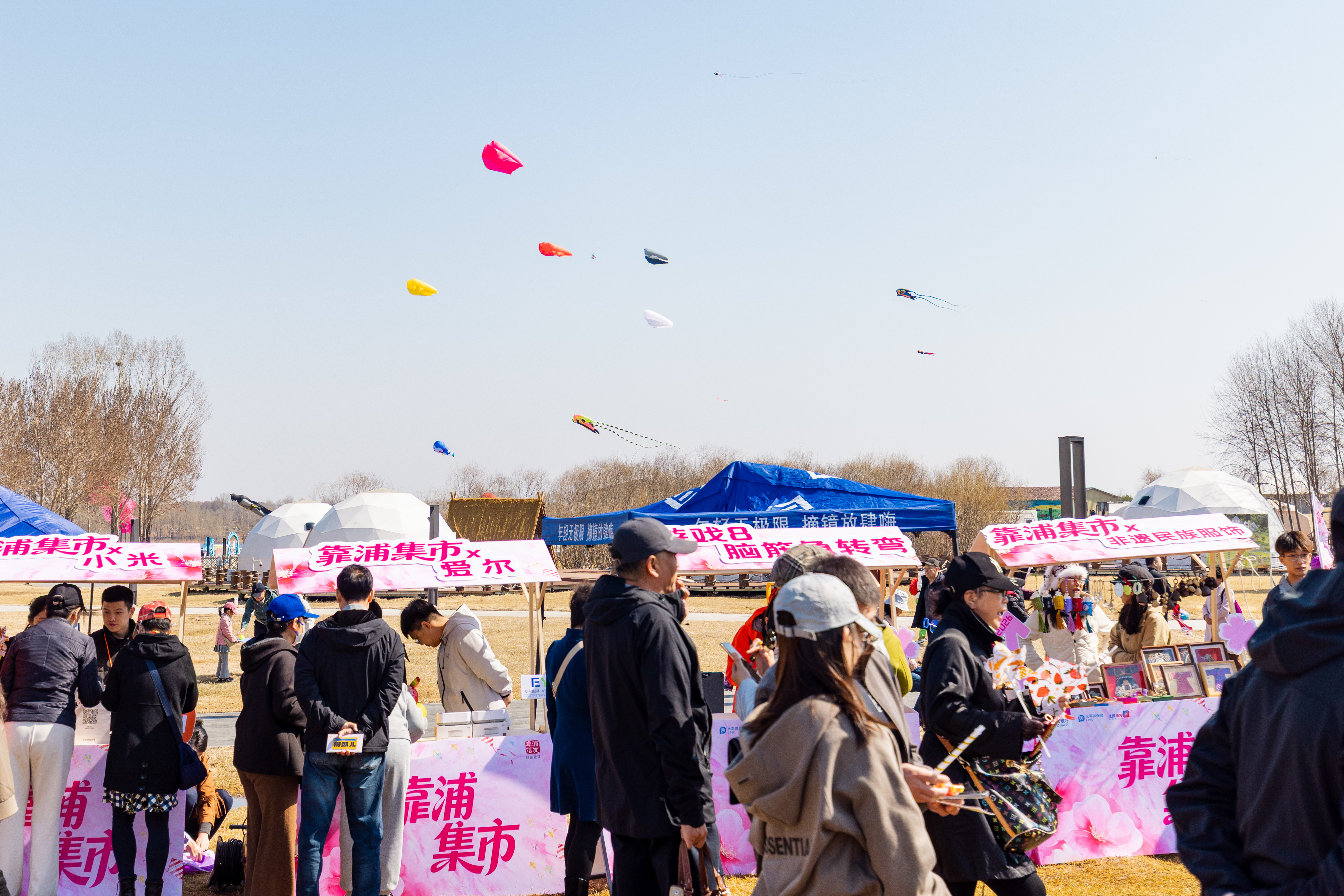 龙江交投运粮河谷营地首届风筝节盛大开幕--龙江交旅融合再启新程