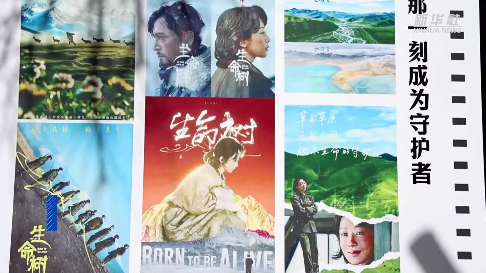 影视带火一座城 德令哈靠“绿”出圈