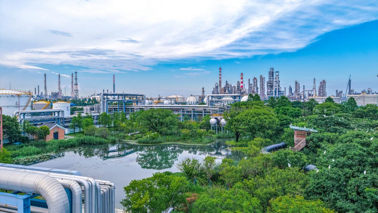 镇海炼化白鹭园观鸟胜地全景/何雯摄