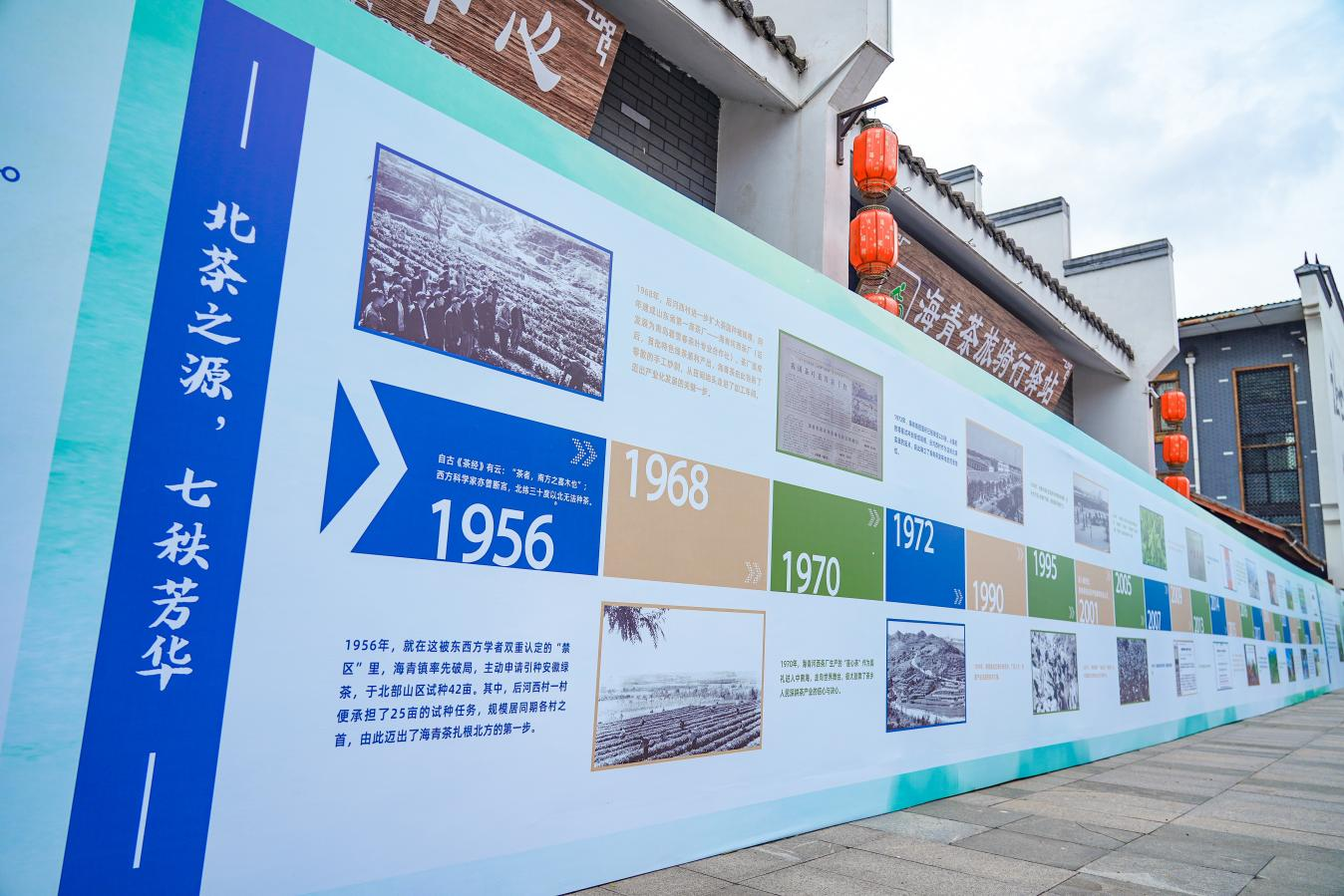 青岛西海岸新区“南茶北引”70年暨海青茶谷雨开采仪式启幕