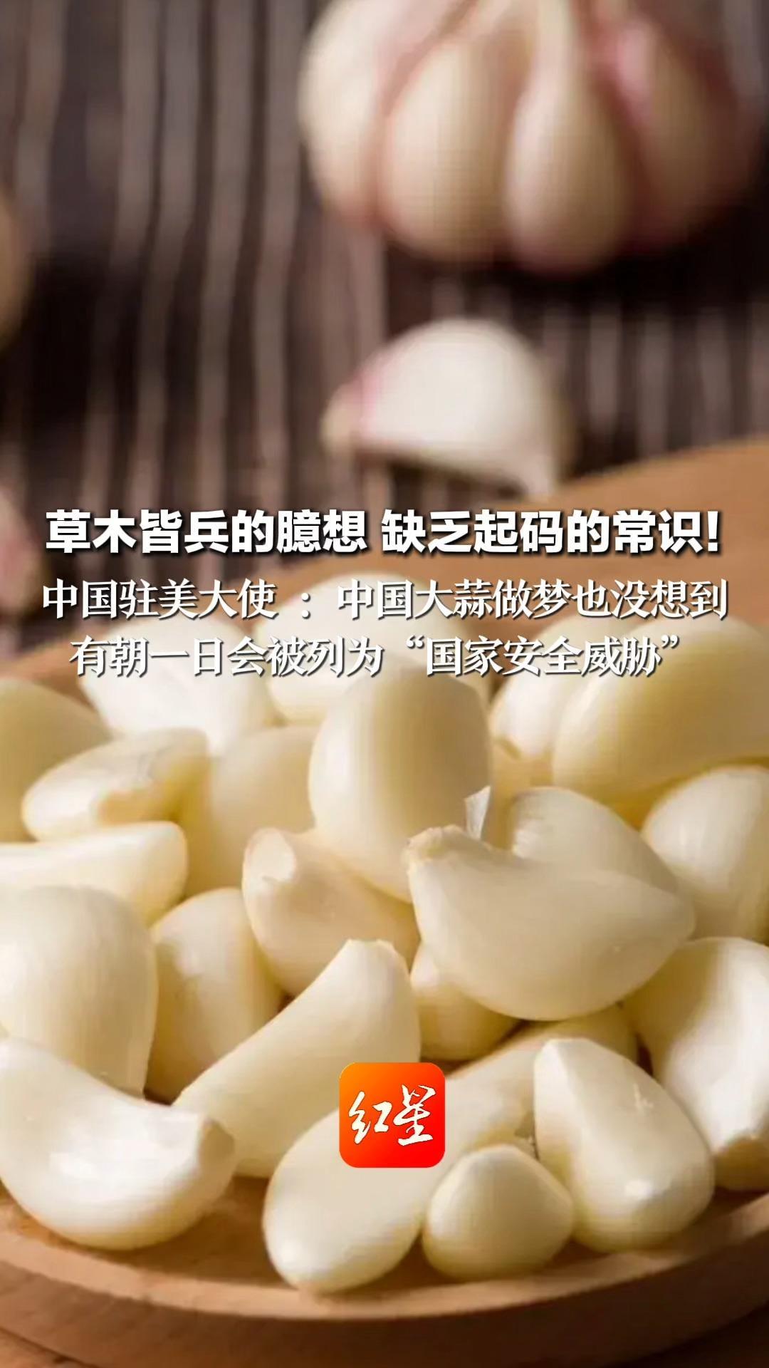 草木皆兵的臆想 缺乏起码的常识！中国驻美大使：中国大蒜做梦也没想到 有朝一日会被列为“国家安全威胁”