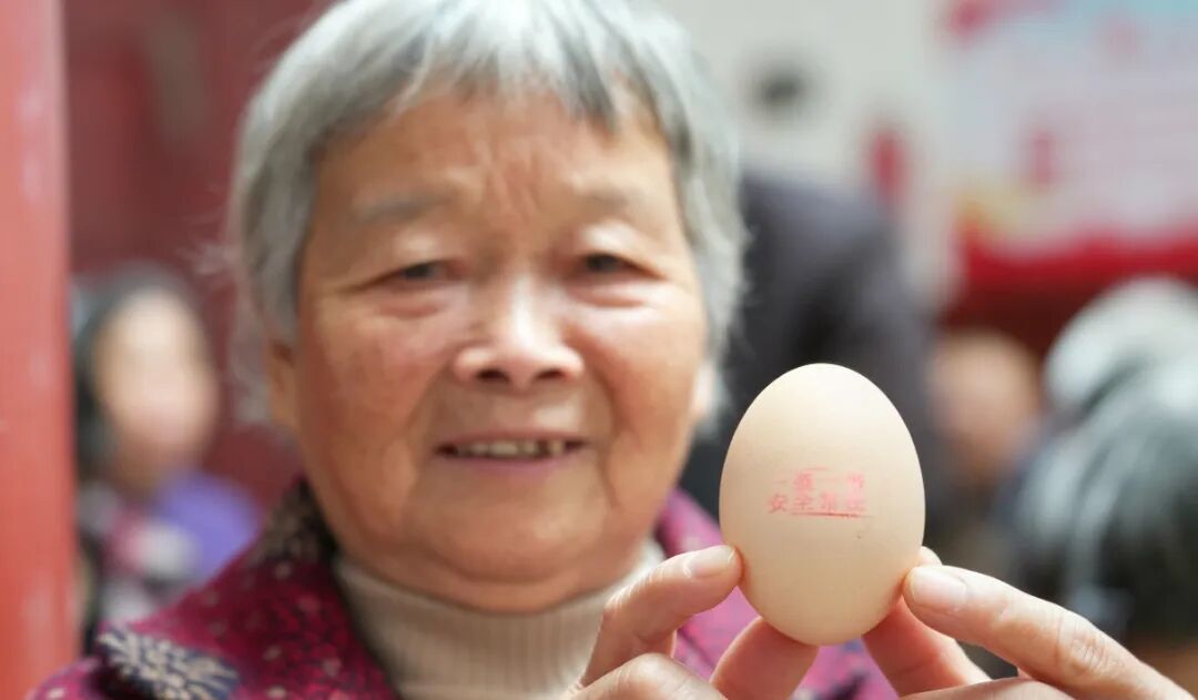 送鸡蛋2.jpg