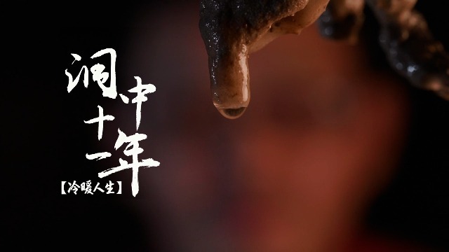 洞中十一年